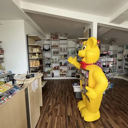 Sternberg 225 By Interhome Frankenau