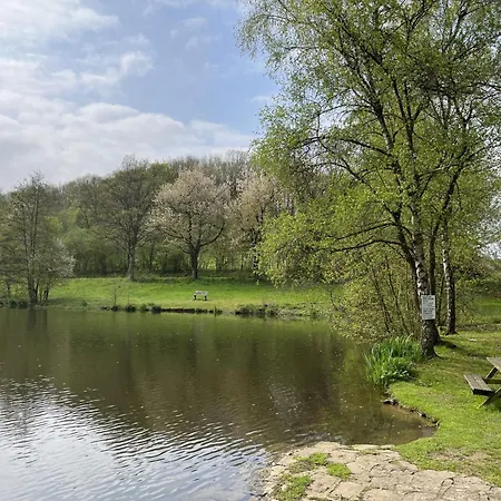 Sternberg 225 By Interhome Frankenau