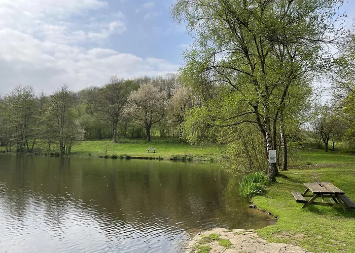 Sternberg 225 By Interhome Frankenau