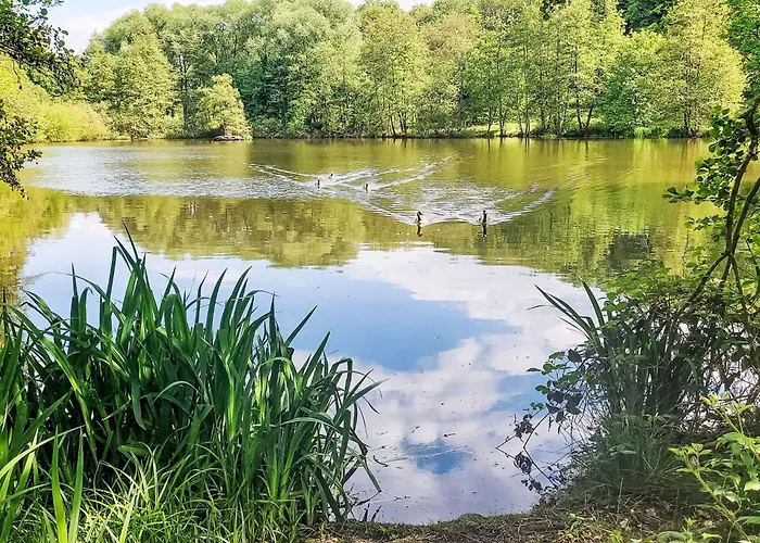 Apartman Sternberg 225 By Interhome *